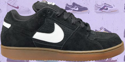 Nike SB Release Dates Nike Team Edition SB