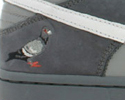 Nike SB Information