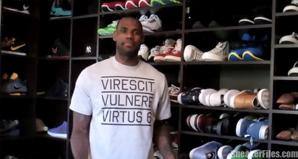 lebron james collection shoes