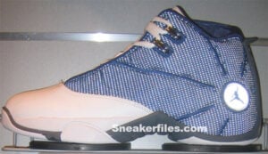 Air Jordan 12.5 Flint Debut