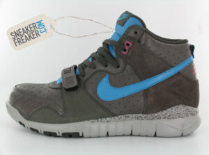 New Nike Trainer Dunk High