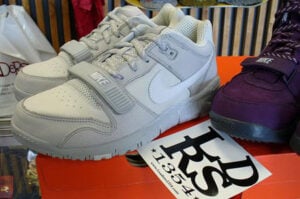 Nike Quickstrike Trainer Dunks Free