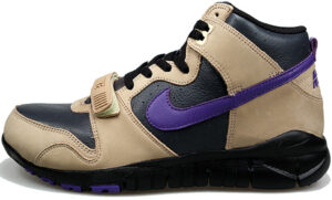 Nike Trainer Dunk High Anthracite/Varsity Purple