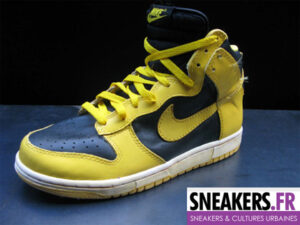 Nike Dunk High Be True: The College Colors Program Vintage