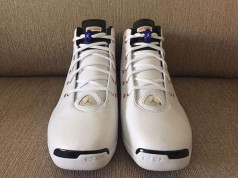 Air Jordan 17 Copper 2016 | SneakerFiles