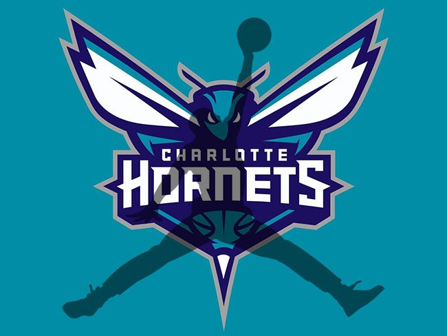 Jordan Logo Charlotte Hornets Jersey 