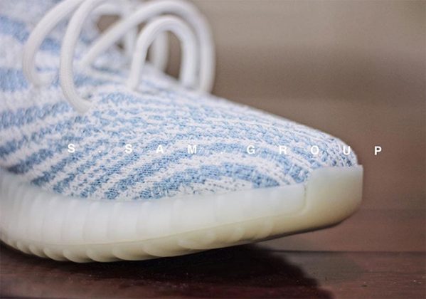 yeezy zebra bleu