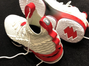 lebron 15 ohio state shoes