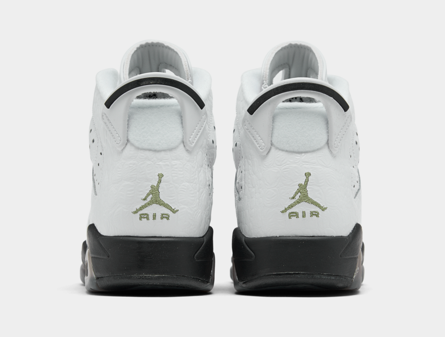 Air Jordan 6 GS Alligator 384665-110 Release Date Info | SneakerFiles