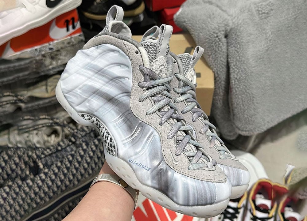 Nike Air Foamposite One Dream A World DM0115001 Grey Release Date