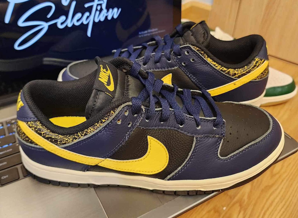 Flyknit allennesima potenza - Nike Dunk Low Vintage Michigan