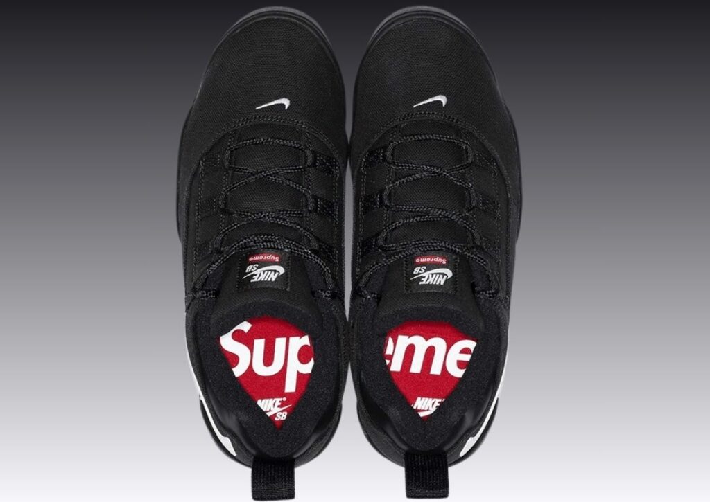 Supreme Nike SB Darwin Low Black White