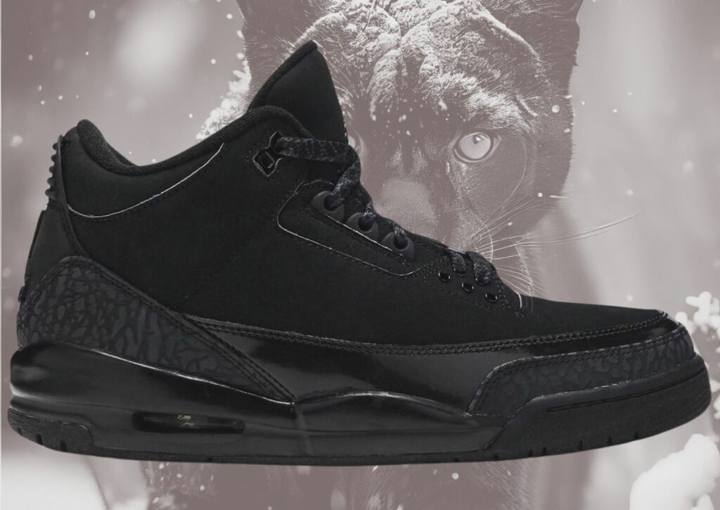 Black jordan 3's online