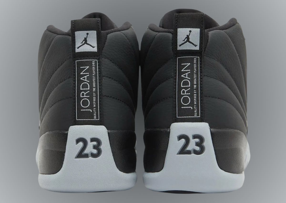 Air Jordan 12 Black Wolf Grey CT8013-010 | SneakerFiles