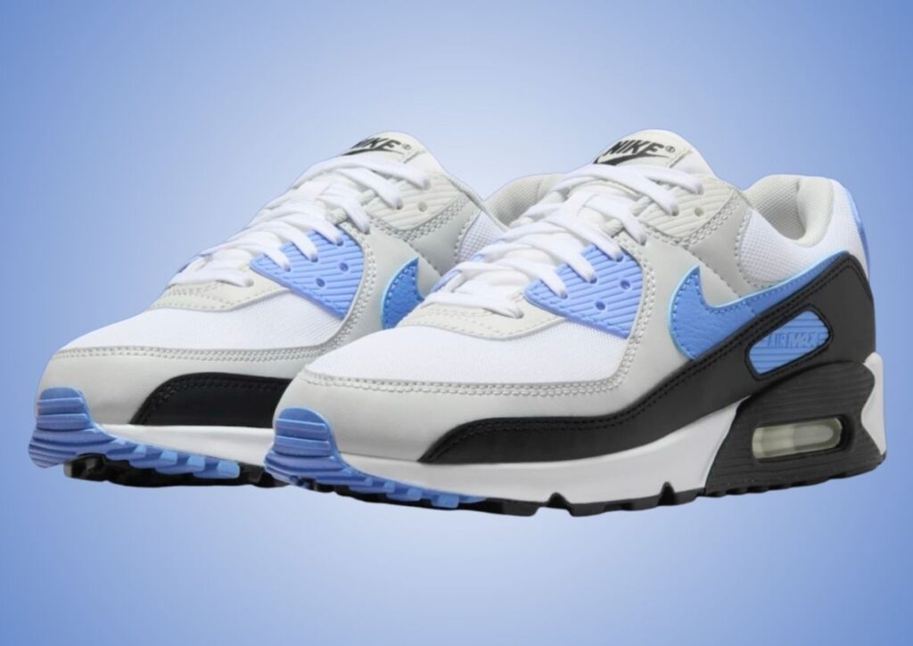 Nike Air Max 90 Royal Pulse DH8010-106