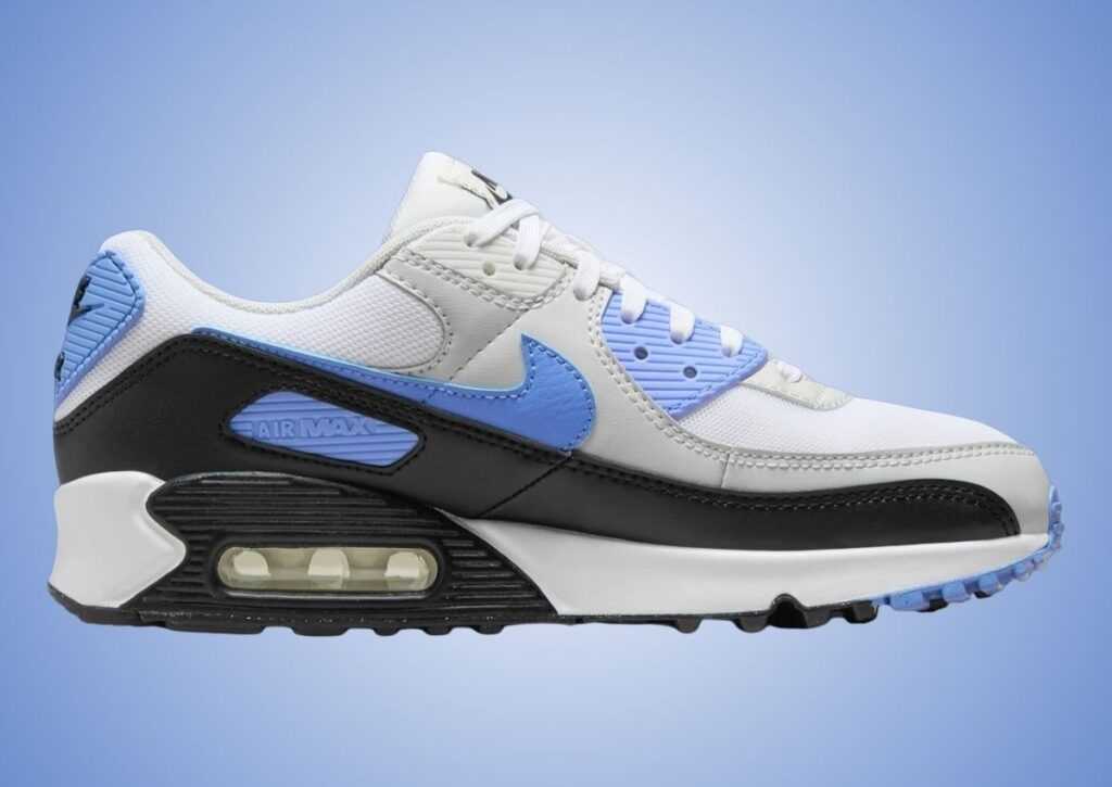 Nike Air Max 90 Royal Pulse DH8010-106