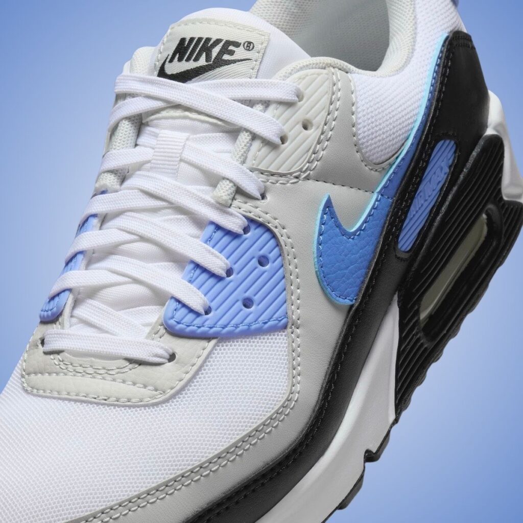 Nike Air Max 90 Royal Pulse DH8010-106