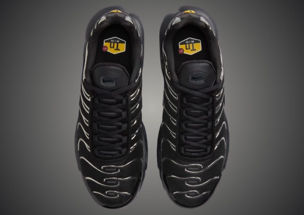 Nike Air Max Plus Black Metallic Silver HJ9743-001