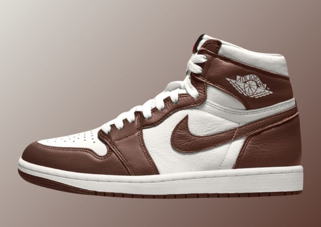 Air Jordan 1 High OG Baroque Brown FD2596 200 SneakerFiles