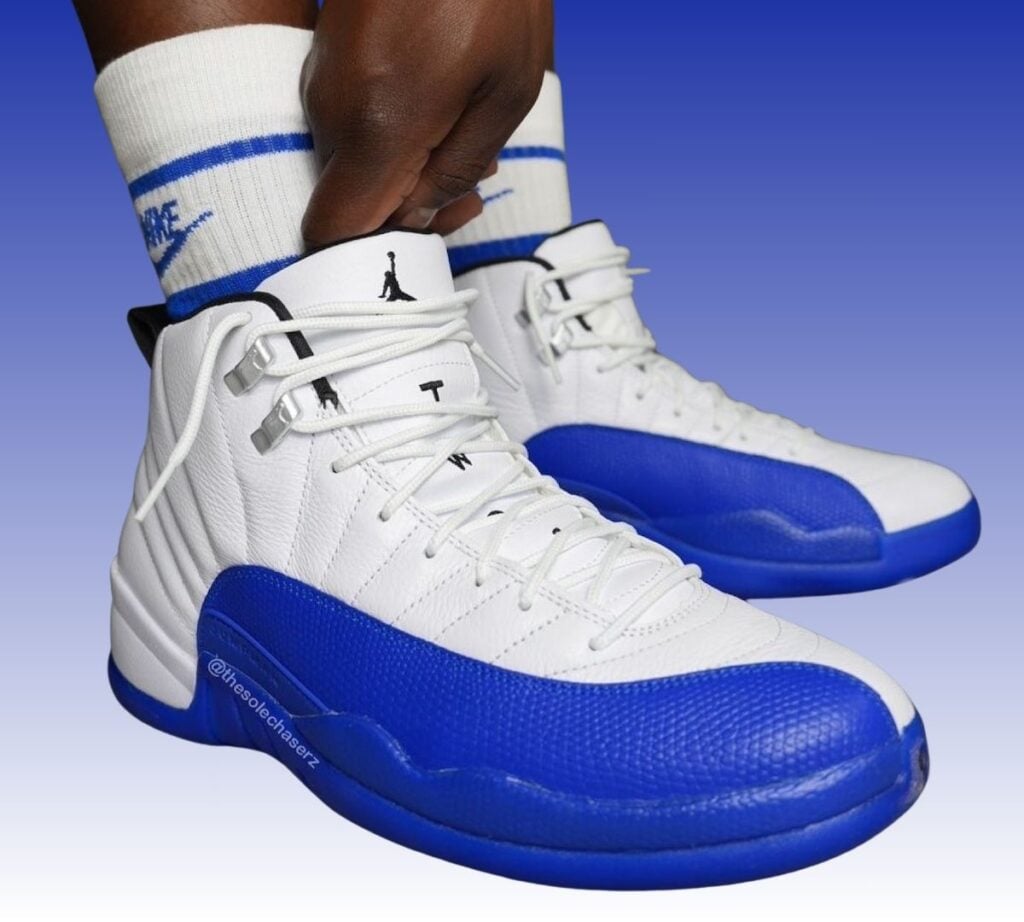 Air Jordan 12 Blueberry CT8013-140 On-Feet