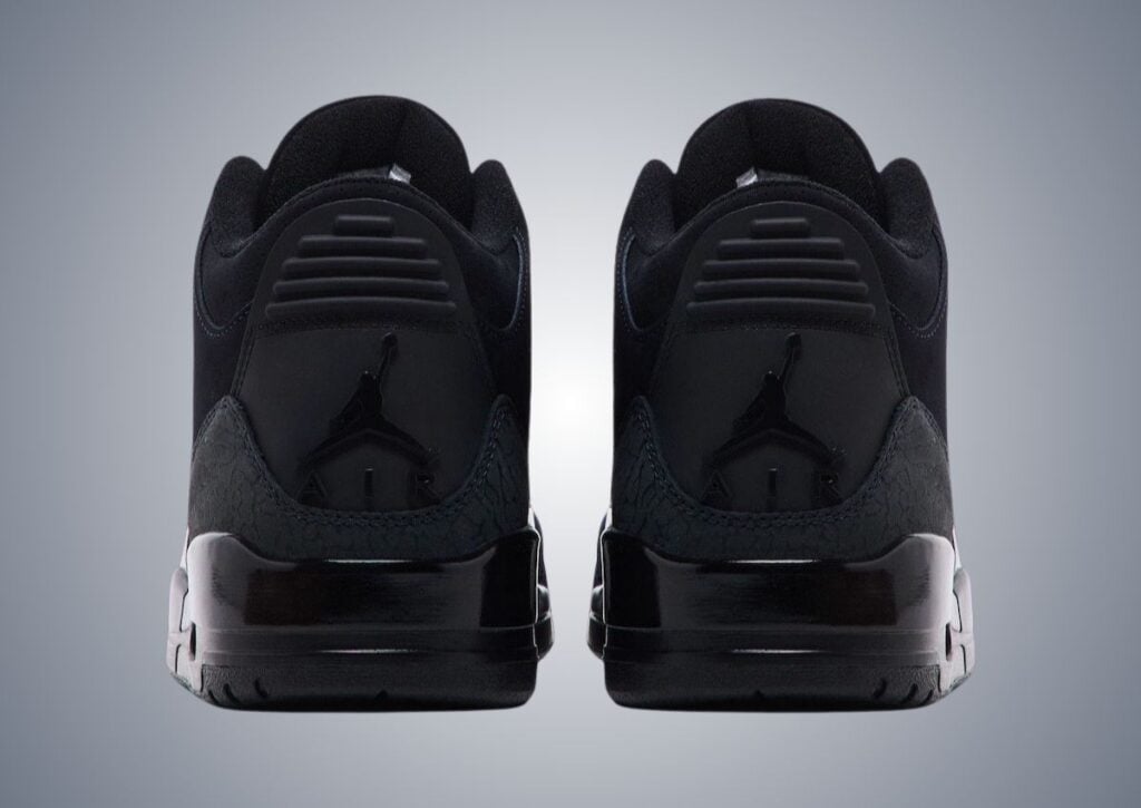 Air Jordan 3 Black Cat 2025