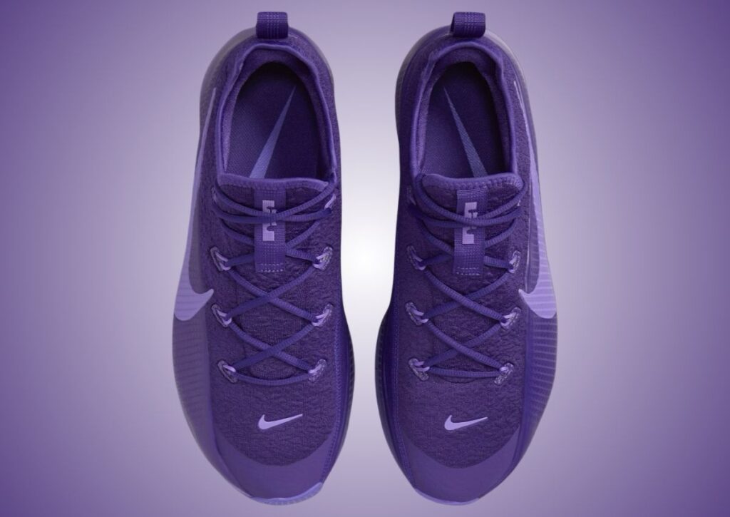 Nike LeBron TR1 Purple Rain FJ6151-500