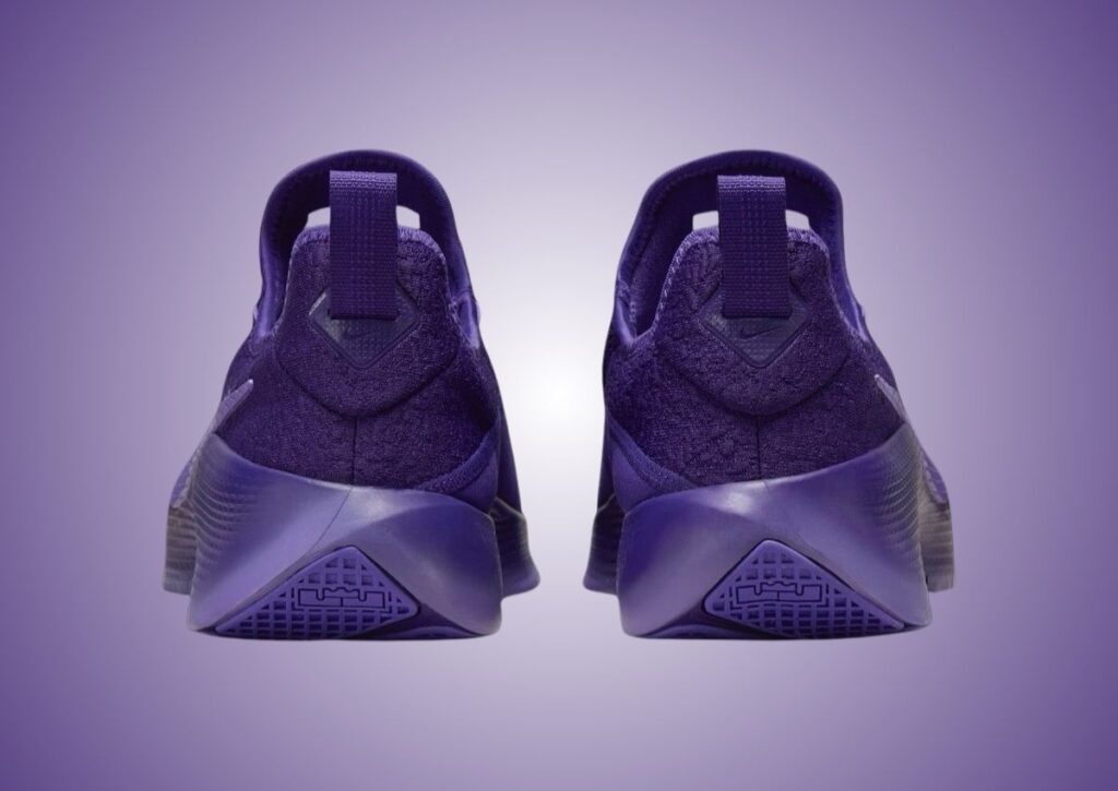 Nike LeBron TR1 Purple Rain FJ6151-500