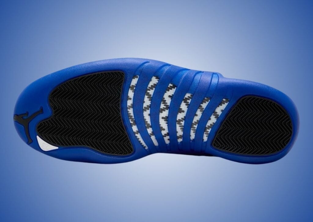 Blueberry Air Jordan 12 CT8013-140 Release Info