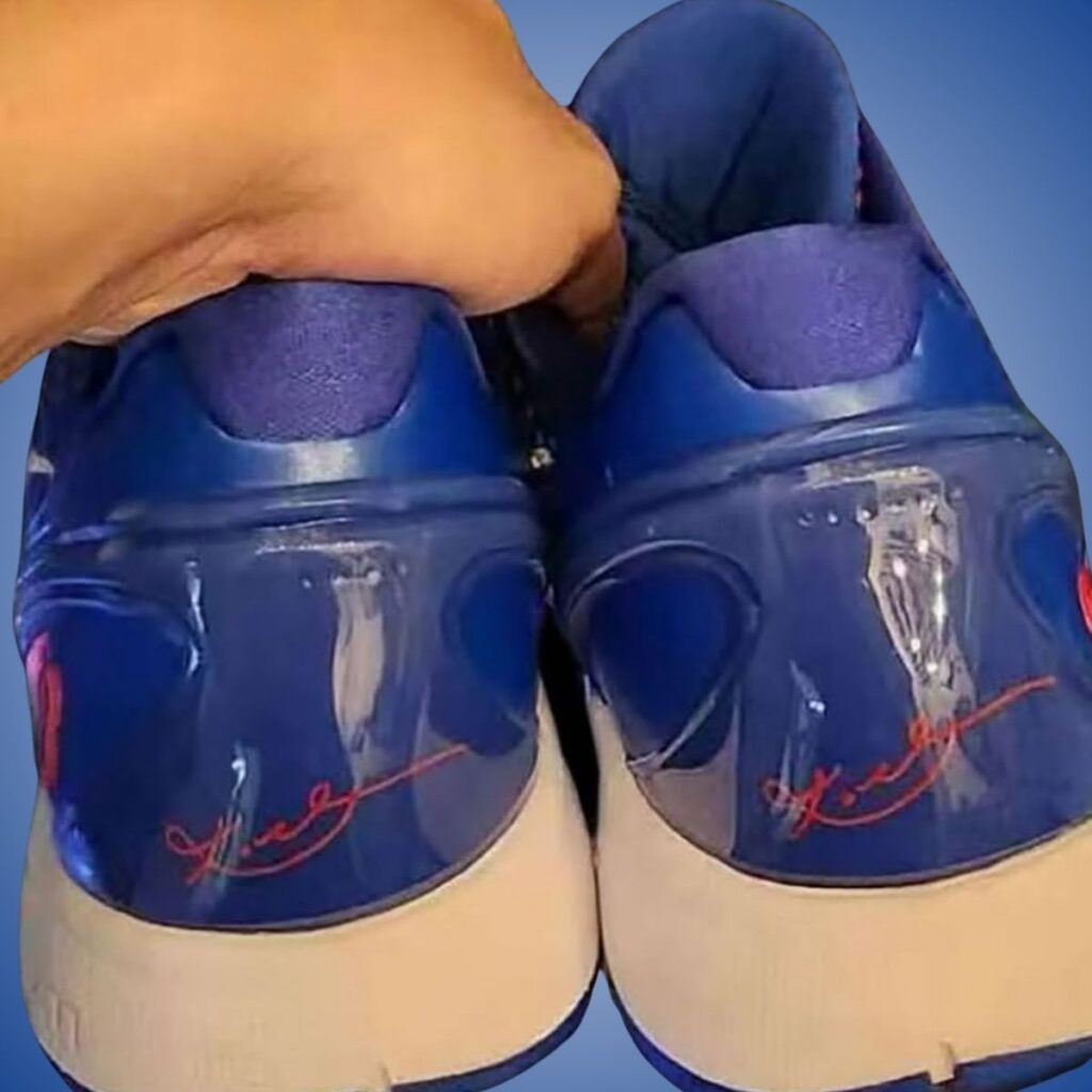 Nike Kobe 6 Protro Dodgers CW2190-400