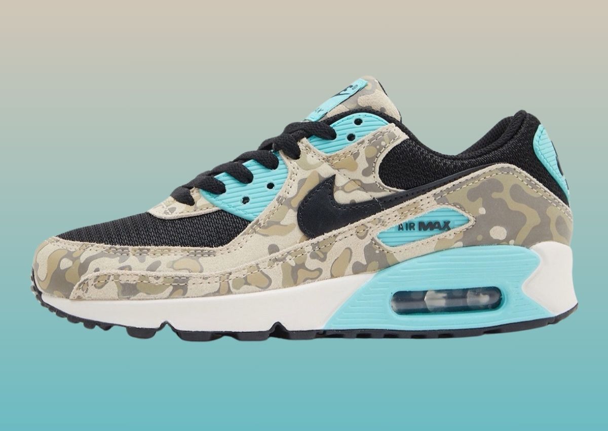 Nike Air Max Release Dates + Colorways 2025 SneakerFiles