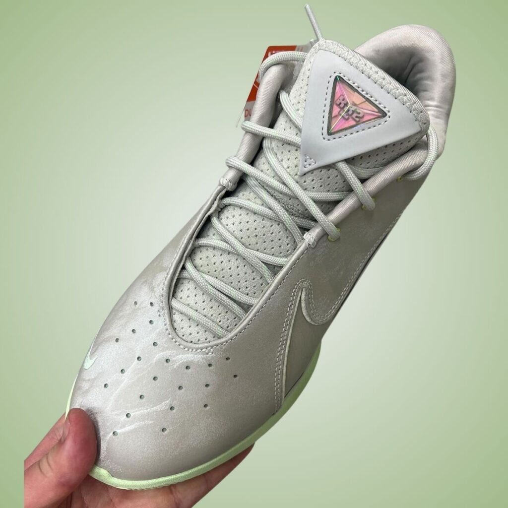 Nike LeBron 22 Dunkman FZ1094-002