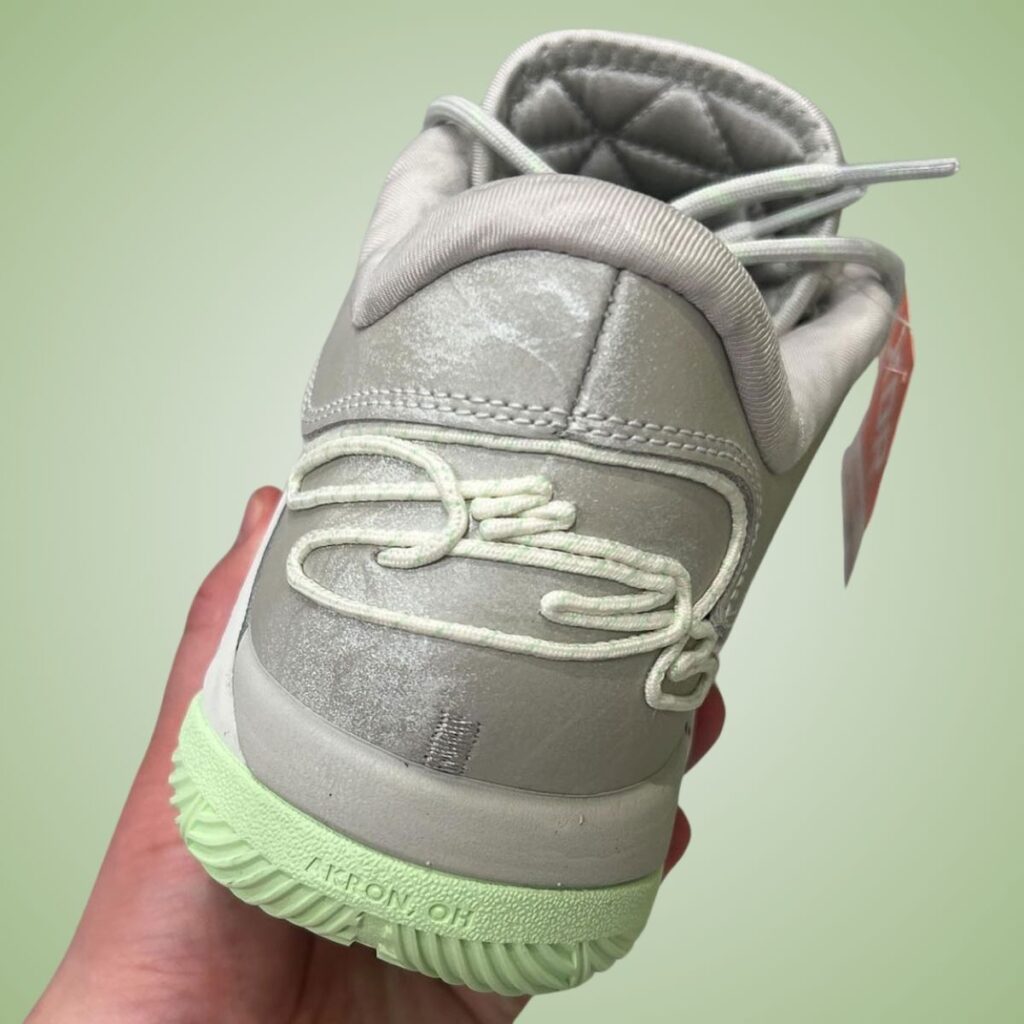 Nike LeBron 22 Dunkman FZ1094-002